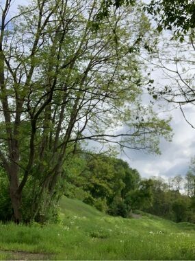 Meet your Posher, Nut